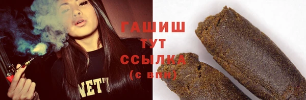 гидра Новозыбков