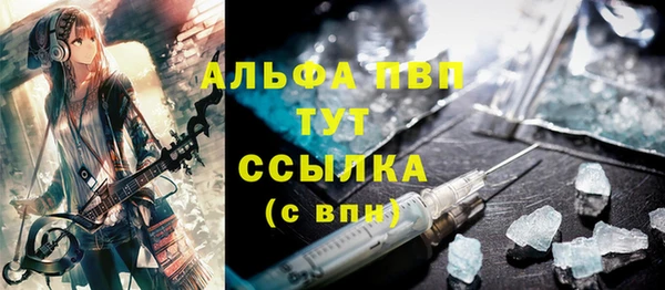 гидра Новозыбков