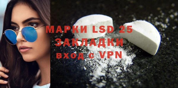 гидра Новозыбков