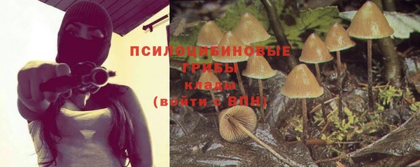 гидра Новозыбков
