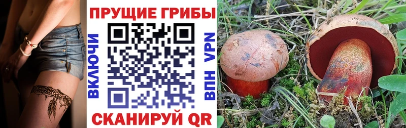 маркетплейс формула Ртищево Псилоцибиновые грибы Magic Shrooms